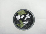 Activated Charcoal Mint